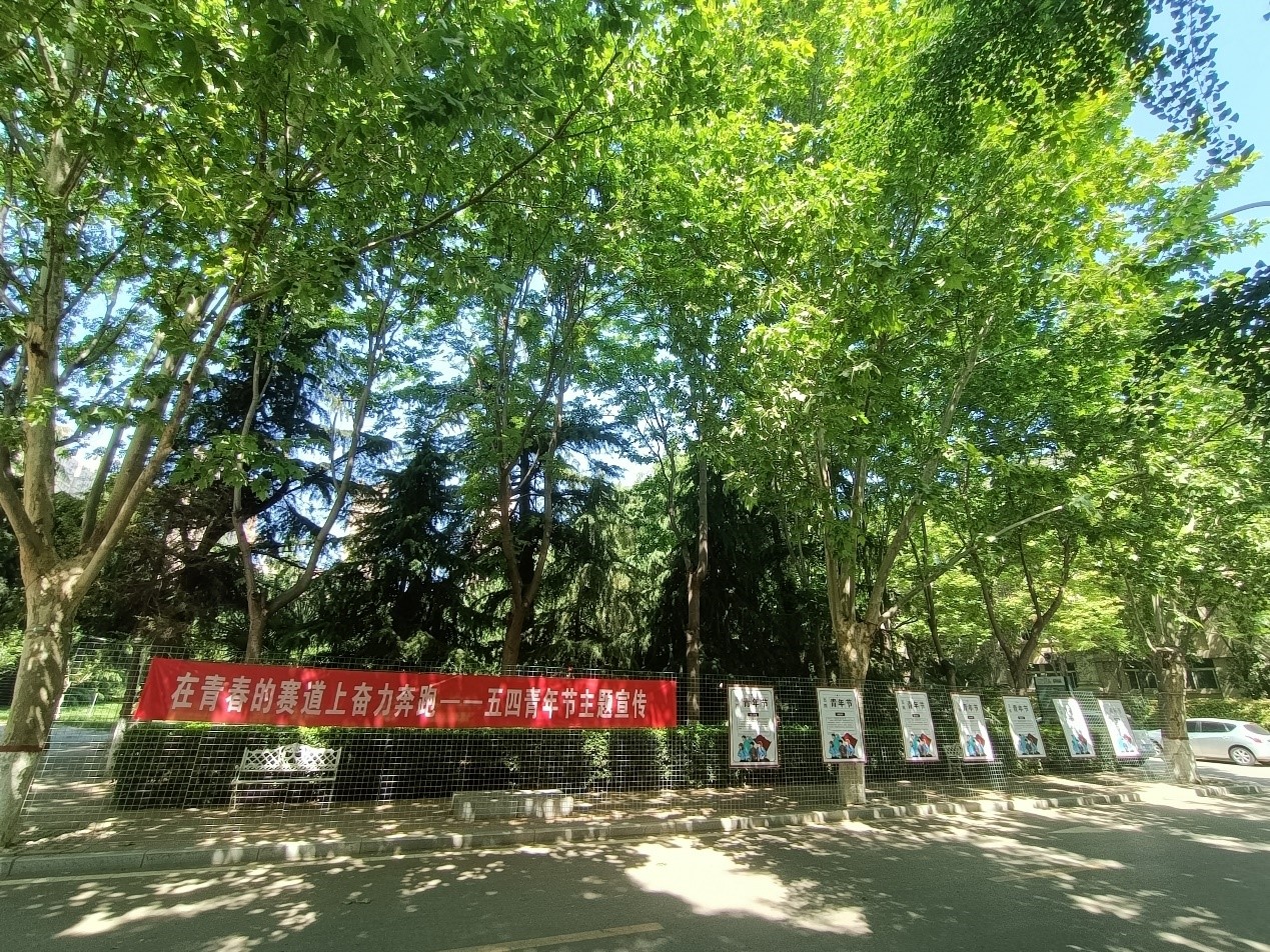在青春的赛道上奋力奔跑——五四青年节主题宣传展板刊出